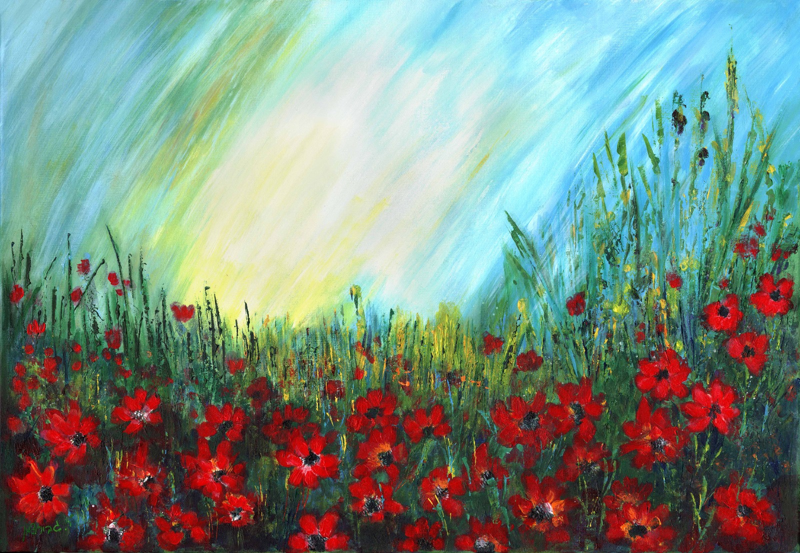 תמונה של אש כלניות | רחל גבירצמן