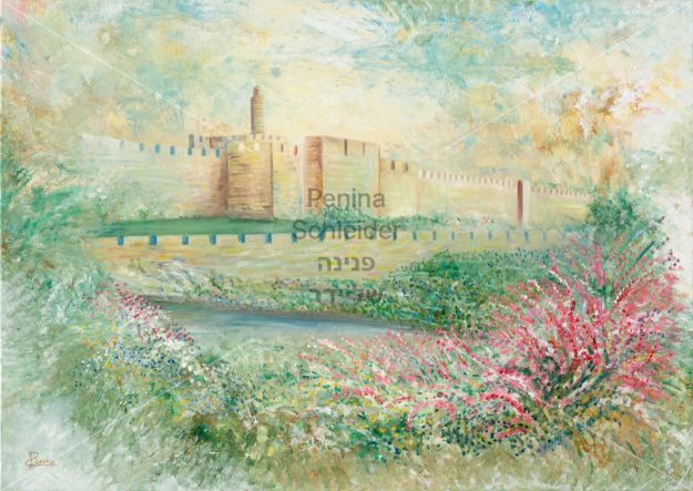 תמונה של עיר דוד| פנינה שליידר