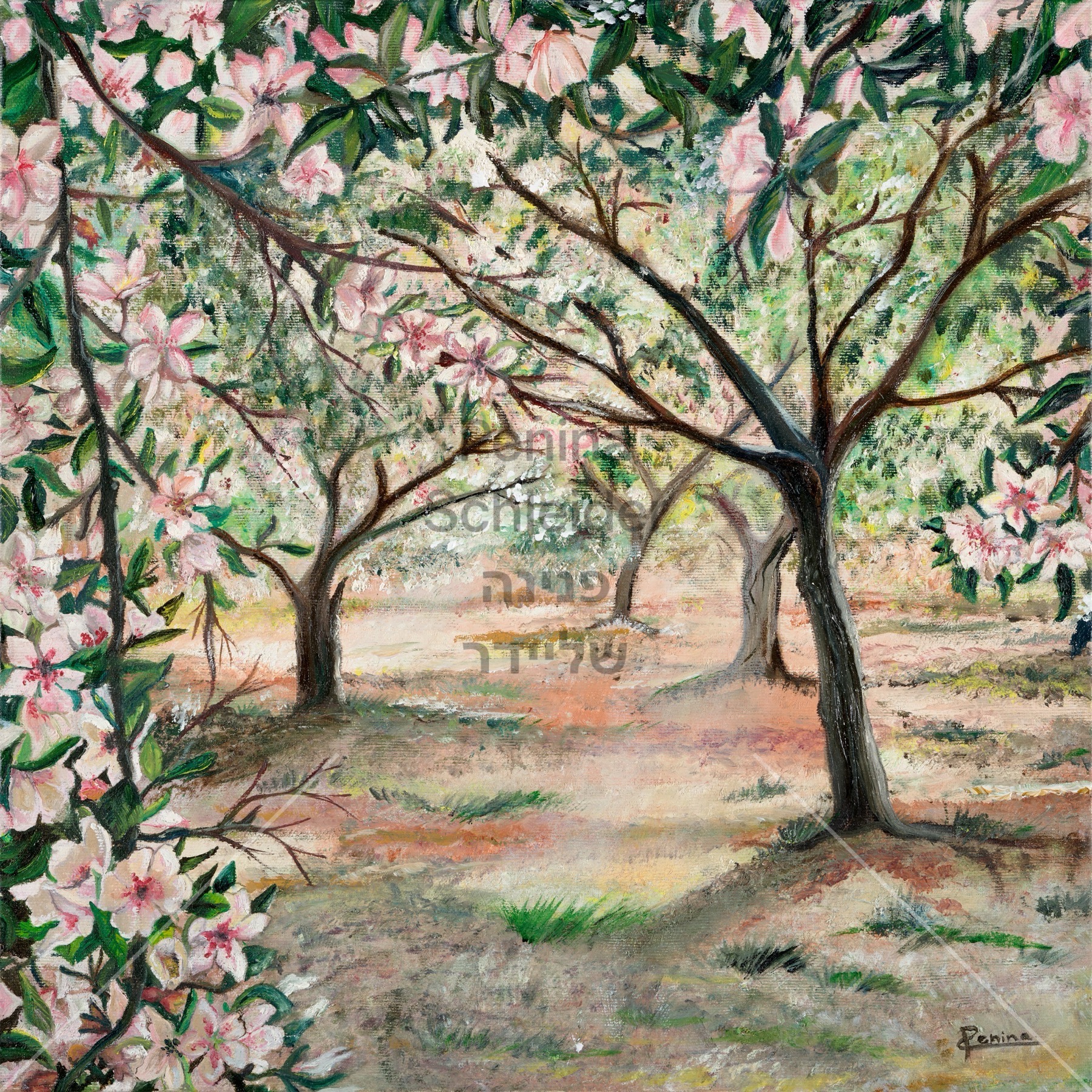 תמונה של שקדיה | פנינה שליידר